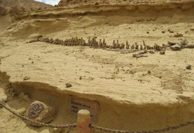 Khám phá thung lũng cá voi hoá thạch ở Ai Cập