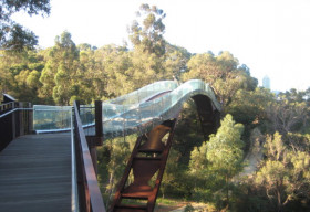 Thiên nga đen và đảo tổ chuột