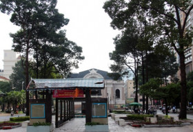 Sài Gòn những hàng cây cổ thụ không còn đổ bóng