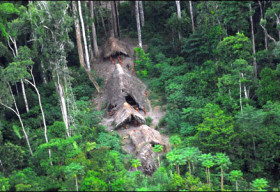 Amazon – rừng già huyền bí