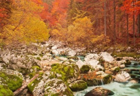 Chùm ảnh mùa Thu tuyệt đẹp trên khắp thế giới