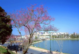 Tặng nàng một chốn riêng tư trong ngày Phụ nữ