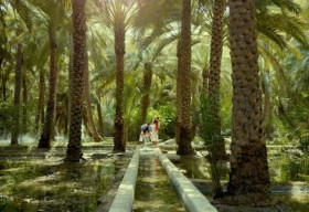 Những lý do khiến Abu Dhabi tuyệt hơn Dubai