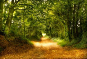 18 cảnh đẹp đến ngỡ ngàng ở vương quốc Anh