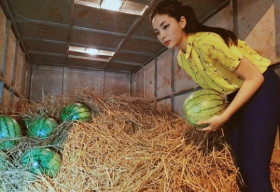 Hoa hậu Kỳ Duyên đi bán dưa giúp đồng bào Quảng Nam