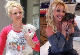 Britney Spears chi hơn nửa tỉ để chăm sóc cún cưng