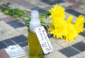 Hướng dẫn 2 cách tự làm xịt khoáng nha đam tại nhà