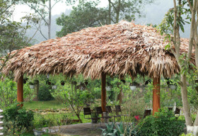 Thiết kế “khác người” của nhà các sao Việt