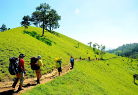 Băng rừng trên cung đường trek đẹp nhất Việt Nam
