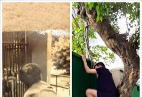 Đàm Vĩnh Hưng khoe ảnh thời bé mừng sinh nhật