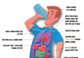 10 tác dụng của việc uống nước