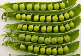 Thực phẩm ngụ ý may mắn trên thế giới