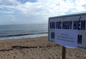 Phú Yên cấm tắm biển vì cá lạ