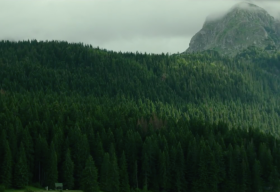 Aokigahara – khu rừng tự sát bí ẩn tại Nhật