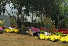 Hà Nội sắp có lễ hội hoa Xuân lớn nhất miền Bắc