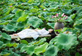 Dương Kim Ánh đọ sắc với hoa sen