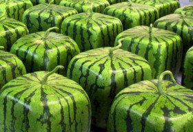 10 loại quả lạ ‘giá trên trời’ dành cho giới siêu giàu