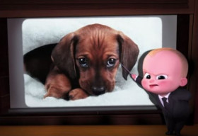 The Boss Baby: Cuộc chiến ‘đáng yêu’ giữa em bé và cún cưng