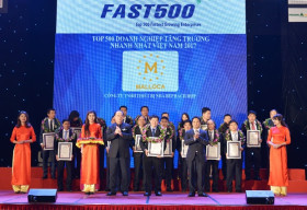 Malloca nhận giải top 500 doanh nghiệp Việt tăng trưởng nhanh nhất 2017
