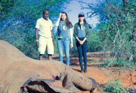Phạm Hương, Lệ Hằng ‘lặng người’ khi thấy voi bị giết hại ở Kenya