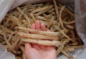 Những hải sản quý hiếm giá bạc triệu được nhà giàu Việt ‘săn đón’
