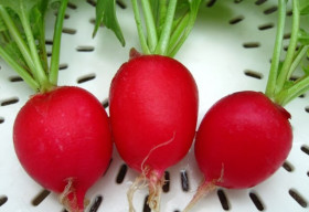 Những món ăn giúp làm đẹp da vào mùa thu