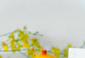 Độc đáo cà phê sâm, linh chi ‘uống là đẹp’ tại Fairy Coffee