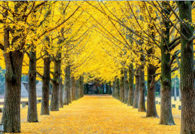 Những địa điểm du lịch nổi tiếng Hàn Quốc