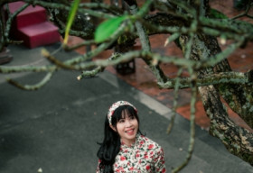 MC Quỳnh Hoa hóa ‘Cô Bông Sài Gòn’ giữa thủ đô Hà Nội