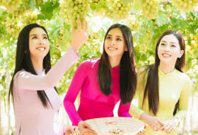Tiểu Vy, Phương Nga, Thúy An đẹp rạng rỡ giữa nắng gió Ninh Thuận