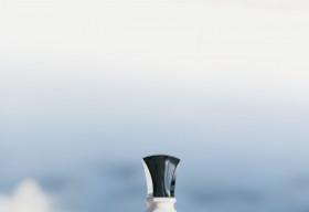 5 hương nước hoa Unisex đáng chú ý dành cho mùa hè