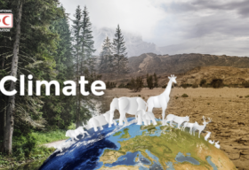 TikTok ra mắt thử thách #ForClimate kêu gọi chống biến đổi khí hậu toàn cầu