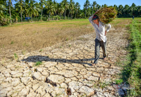 Xi măng INSEE Việt Nam tiếp tục ủng hộ thêm 500 triệu đồng hỗ trợ phòng chống dịch COVID-19 và hạn mặn