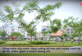 Câu chuyện cuộc sống: Có nên đốn hạ cây xanh trong mùa mưa bão