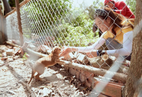 Khánh Vân giản dị với bộ ảnh ‘cây nhà lá vườn’ tại Long An