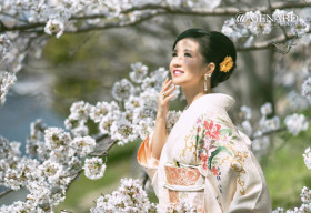 Hoa anh đào trên vạt áo Samurai