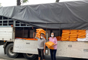 NSƯT Trịnh Kim Chi nhận 10 tấn gạo từ MC Quyền Linh, dốc lòng giúp đỡ các nghệ sĩ nghèo mùa dịch