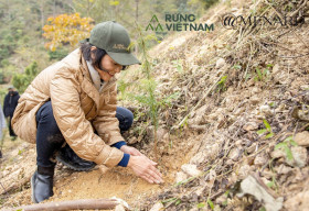 Menard Việt Nam: 18 năm trưởng thành cùng giấc mơ ‘vươn tới vẻ đẹp đích thực’