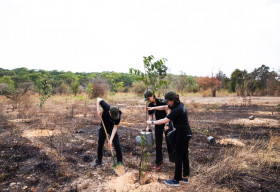 Mùa xuân lên rừng gieo hy vọng