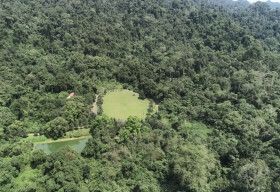 Lá rừng kể chuyện ngàn năm và cuộc hành trình trở về nhà