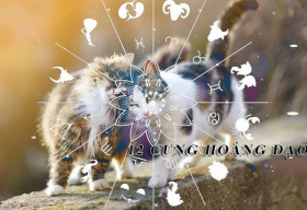 Lòng tốt của 6 chòm sao này được đền đáp hơn cả mong đợi trong năm 2023