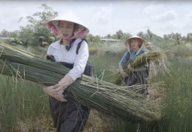 Hoa hậu Thuỳ Tiên nhận thù lao 45 ngàn đồng trong lần đầu làm nông dân