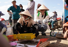 Huy Khánh – Diệp Bảo Ngọc khản cổ rao bán mực ở Chợ Nại