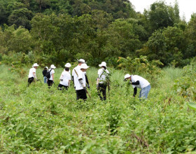 L’Oréal Việt Nam tiếp tục thực hiện cam kết ‘Trồng rừng cho tương lai’