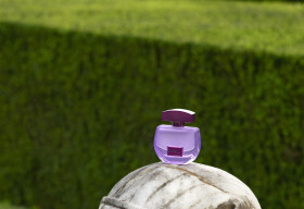 Mistica: Hành trình cảm xúc từ Furla – Chạm đến từng giác quan