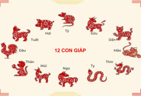 12 con giáp trong năm Ất Tỵ 2025