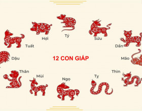 12 con giáp trong năm Ất Tỵ 2025