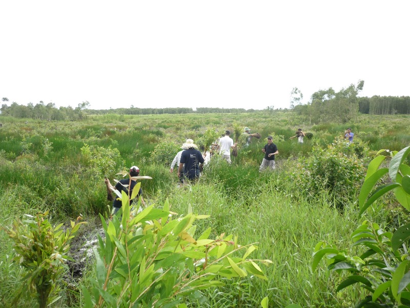 Ascott tham gia trồng đước bảo vệ rừng Ascott kỷ niệm 25 năm hoạt động tại Việt Nam, cam kết xây dựng tương lai bền vững hơn
