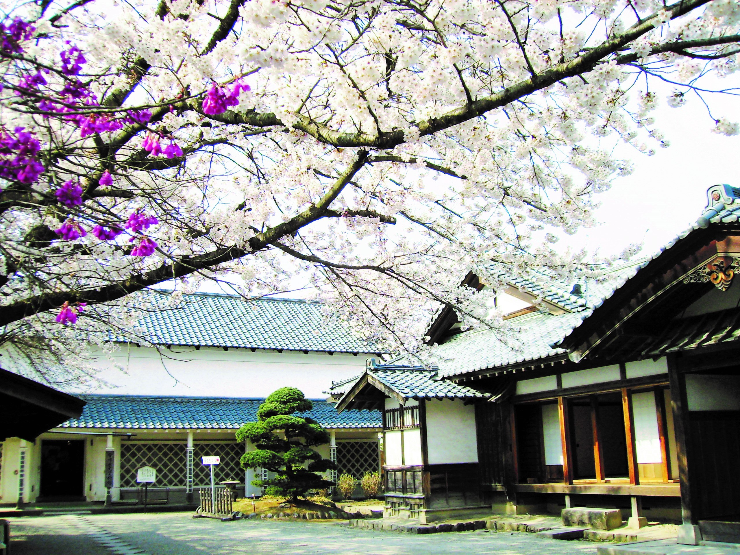 Samurai ở Fukushima 5 4 địa danh nên ghé để trải nghiệm tinh thần Samurai ở Fukushima