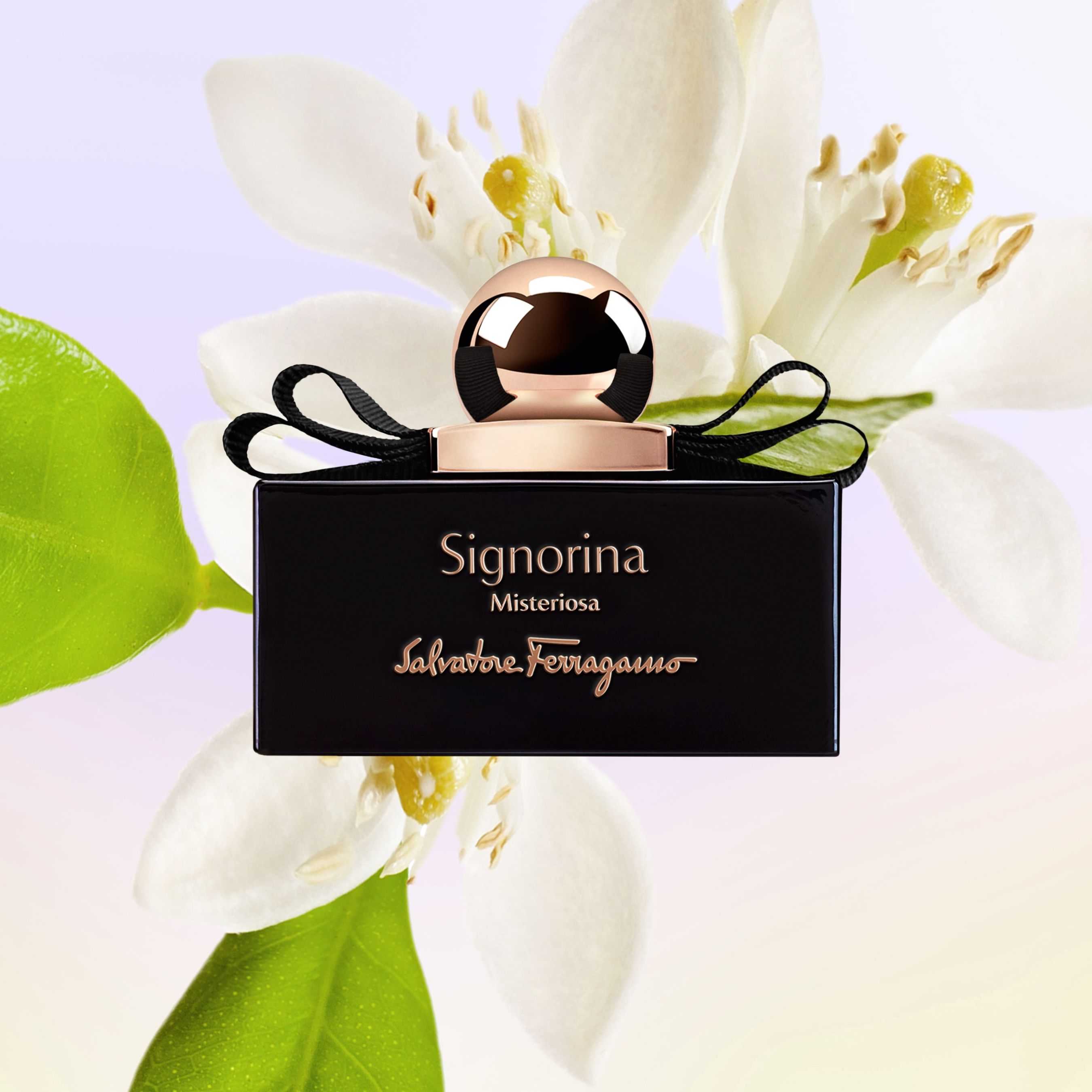 Salvatore Ferragamo nước hoa Salvatore Ferragamo AH Perfumes nước hoa AH Perfumes 2 Cùng Salvatore Ferragamo kể câu chuyện của riêng mình